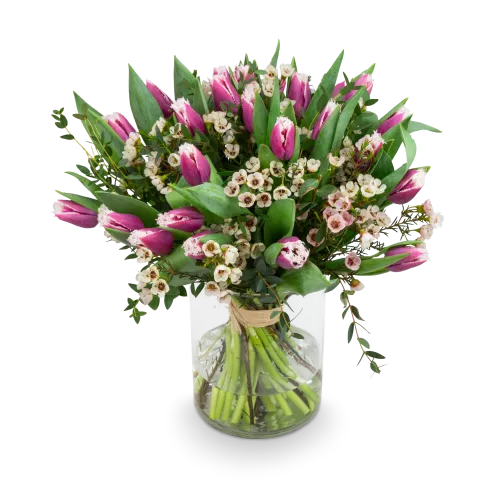 Kytice prémiových tulipánů